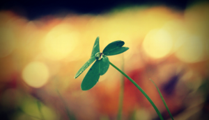 全队发挥出色，积分榜上升至前列！