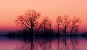 瑞典队在欧预赛中奋力一搏，晋级实至名归