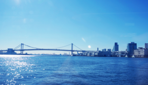 日本运动员勇夺金牌，荣誉加冕双打项目