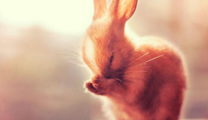 全队发挥出色,积分榜上升至前列!